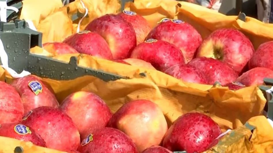 पाकिस्तान को समर्थन देने पर विरोध, तुर्की और अज़रबैजान में भारतीय पर्यटकों की संख्या में गिरावट